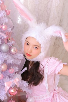 美国派1